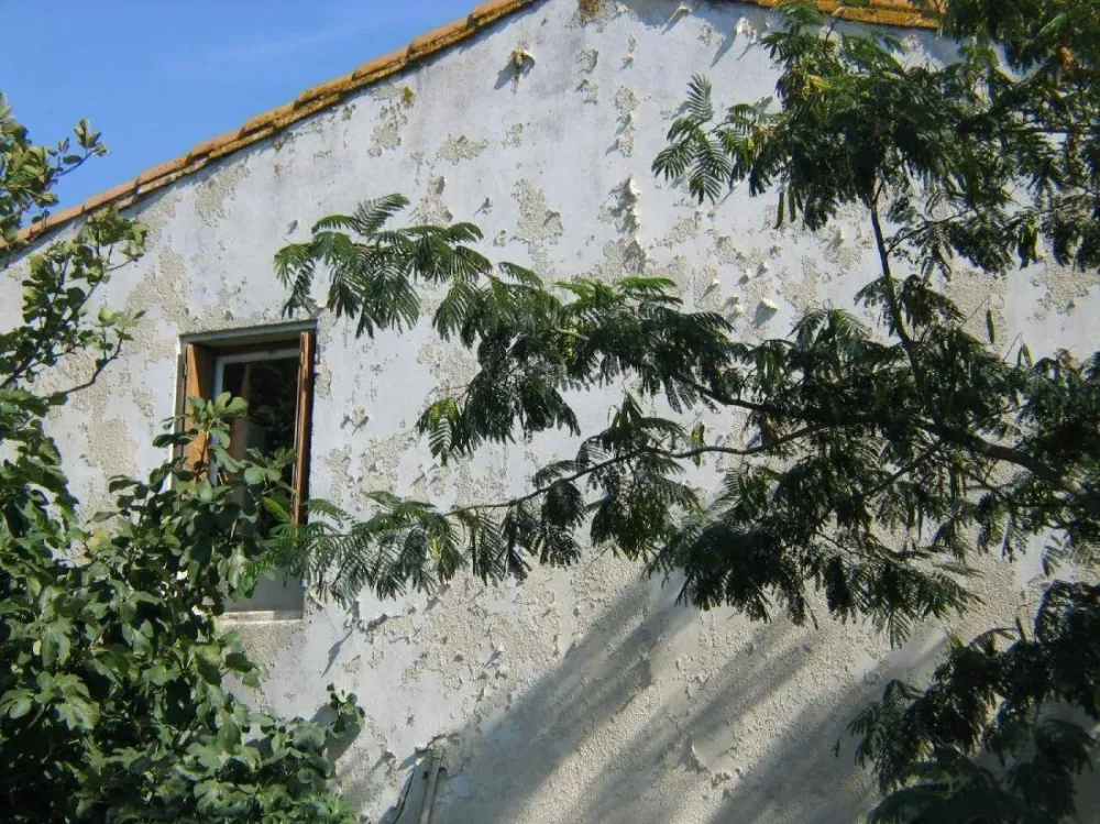 Diverses interventions