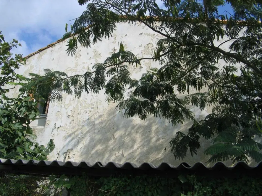 Diverses interventions